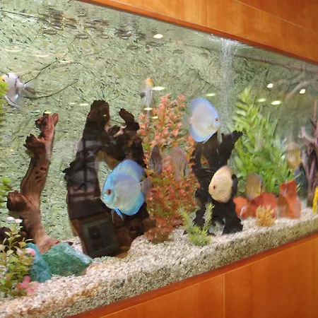 مونتيمار ماريتيم فندق